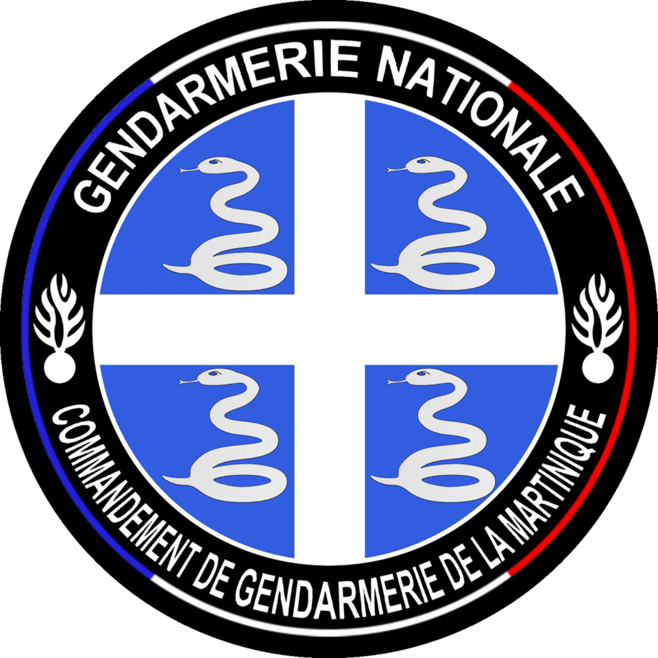 Il représente les armoiries de la gendarmerie en Martinique. Il s'agit d'une tradition de la gendarmerie nationale. Chaque militaire de la gendarmerie porte les armoiries de sa région.