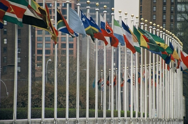 Photo : Drapeaux des États membres de l'ONU, au siège de l'organisation à New York (Wikimedia commons / aotearoa).