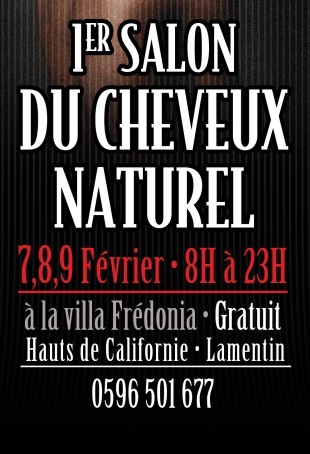 La Martinique accueille Le NATURAL HAIR CARE EXPO du 6 au 16 Février 2014 le salon du cheveux naturel. Pourquoi faut il suivre cette affaire?