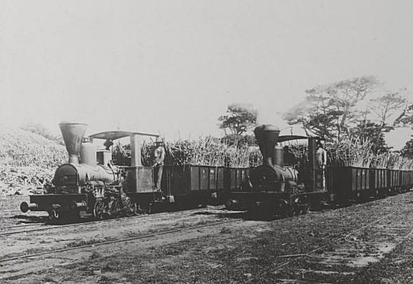 Transport des cannes à sucre [par train] 1930-1939