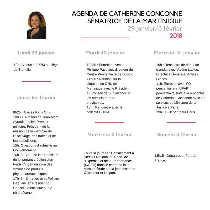 L'agenda politique de Catherine Conconne du 29 janvier au 3 Février