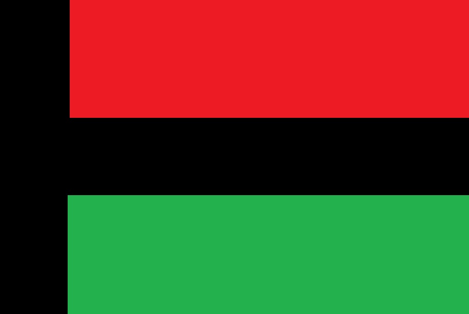 La Collectivité du territoire a choisi son drapeau, il sera rouge vert noir !