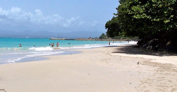Datcha est une plage en guadeloupe à ne pas confondre avec le restaurant du même nom au Carbet en Martinique