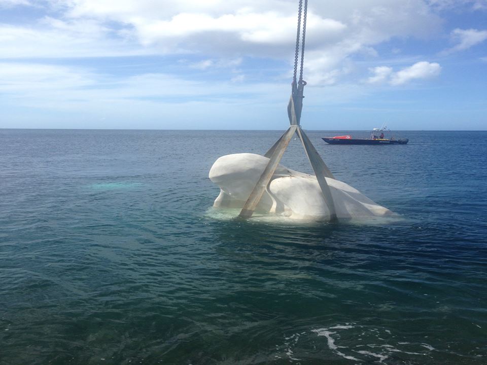 Dans le cadre du mai de Saint-Pierre, le Maire Christian RAPHA et l’Artiste Laurent VALÈRE ont inauguré la sculpture sous-marine