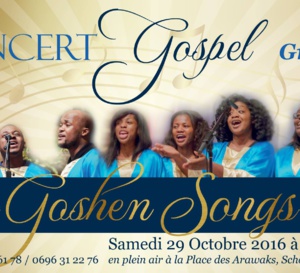 Fort du succès de son précédent concert en Martinique en 2014 au Robert, le groupe Goshen Songs de Paris revient chez nous