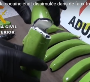 Des bananes vertes fourrées à la cocaïne !