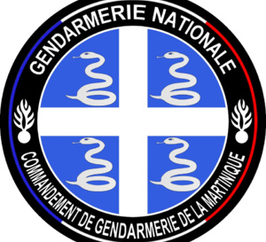 La gendarmerie recrute dans le secteur de l'immobilier.