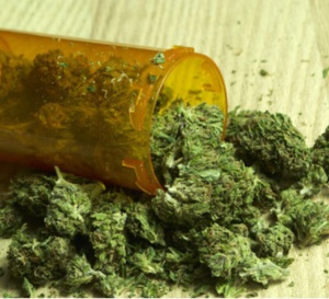 Le gouvernement de Saint-Vincent-et-les Grenadines vers la mise en place d'une industrie du cannabis médical.