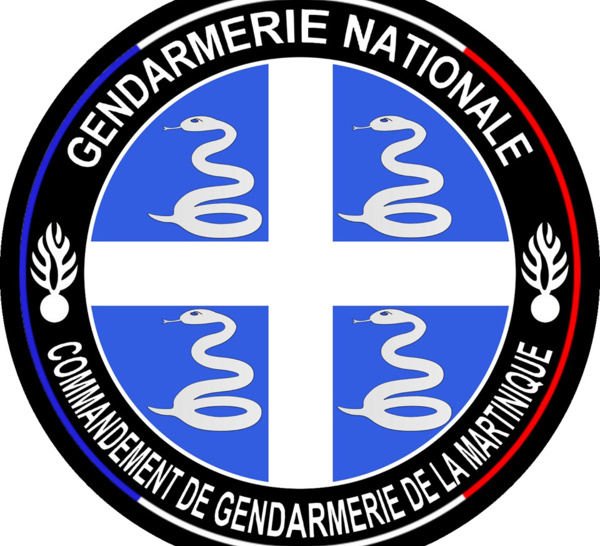 La gendarmerie recrute dans le secteur de l'immobilier.