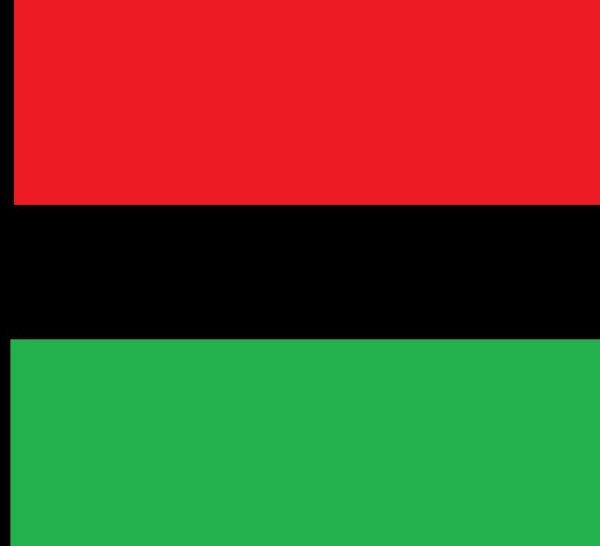 La Collectivité du territoire a choisi son drapeau, il sera rouge vert noir !