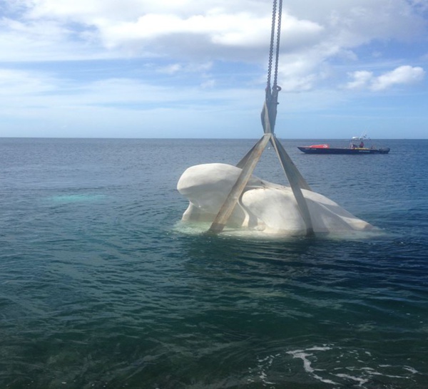 Dans le cadre du mai de Saint-Pierre, le Maire Christian RAPHA et l’Artiste Laurent VALÈRE ont inauguré la sculpture sous-marine
